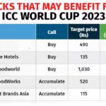 cricket world cup stock